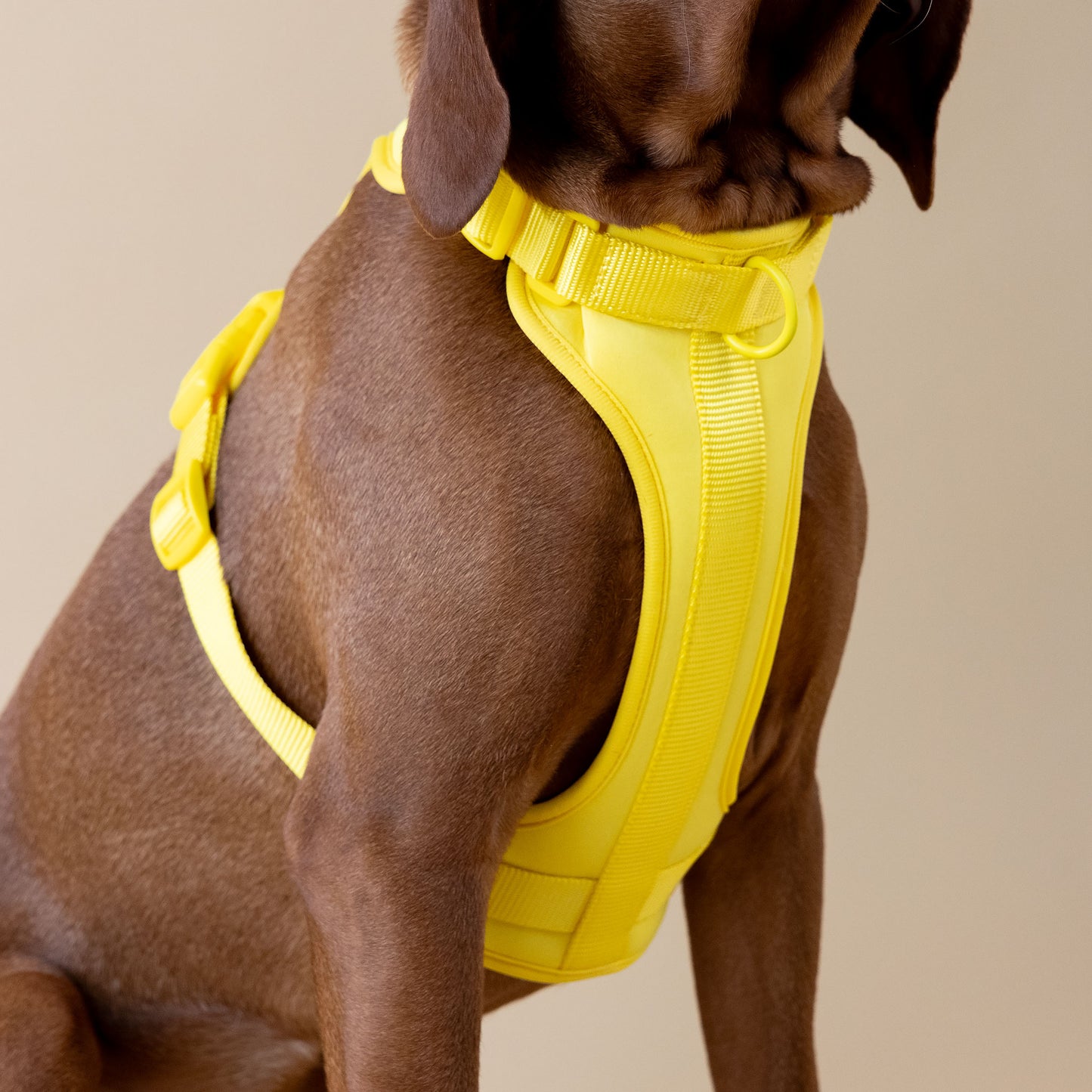 Original Walk Kit