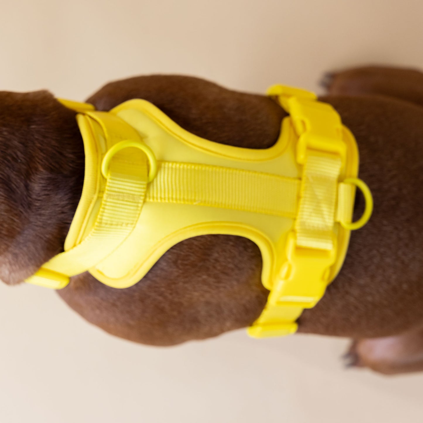 Original Walk Kit