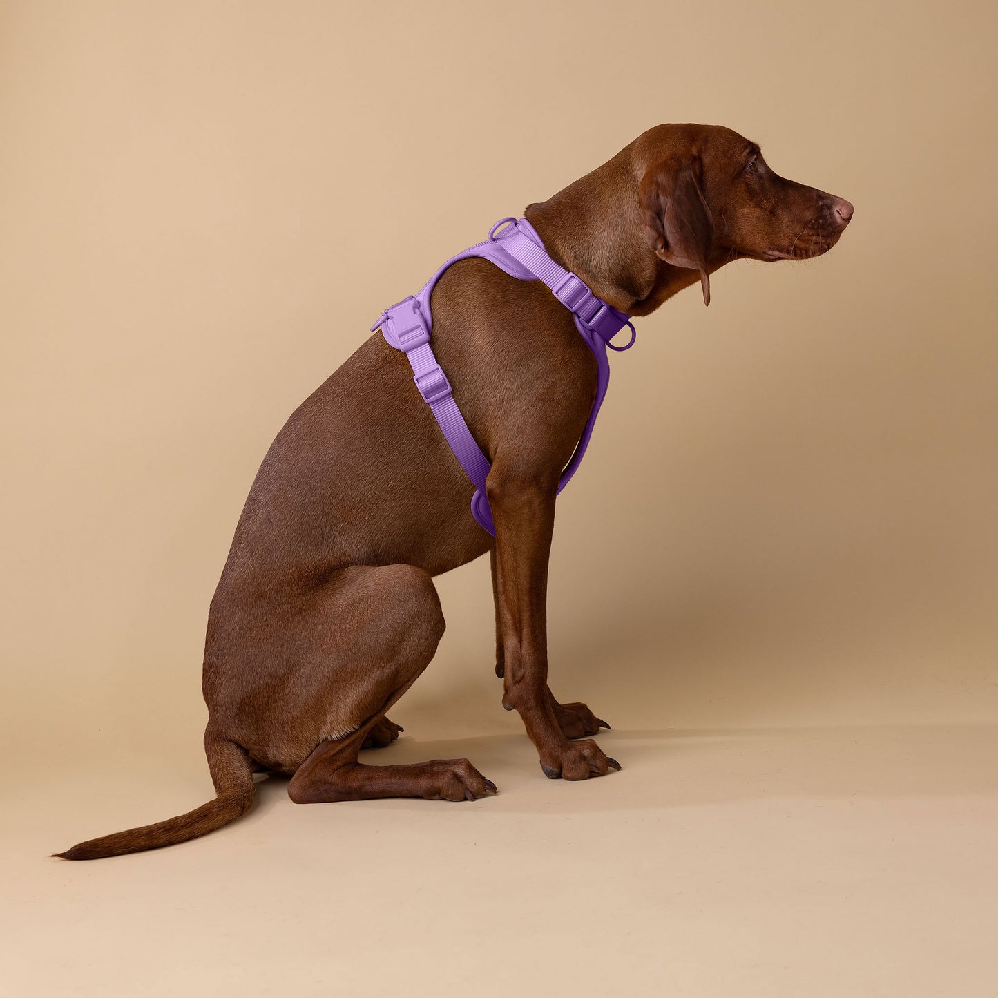 The Original Walk-Kit