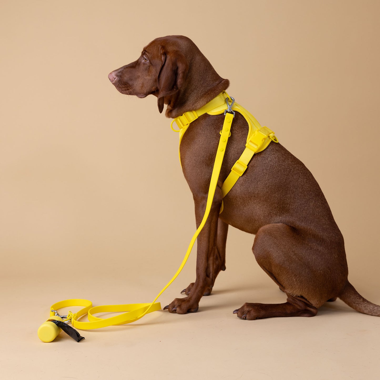 The Original Walk-Kit