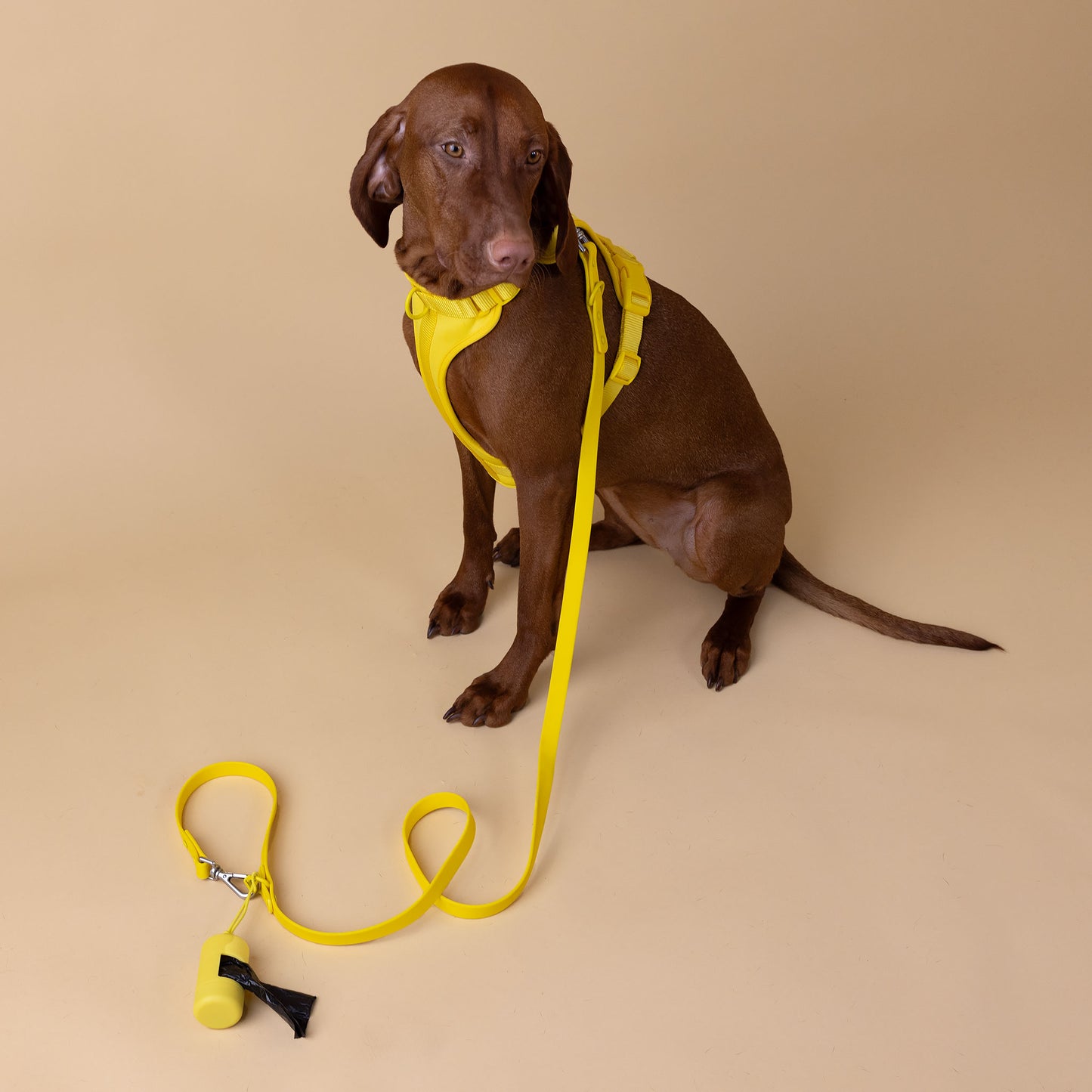 Original Walk Kit