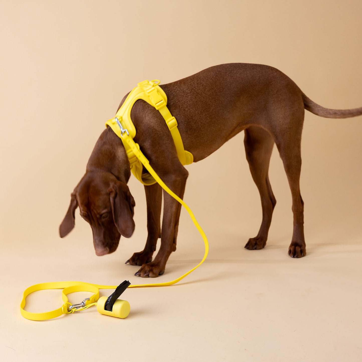 The Original Walk-Kit