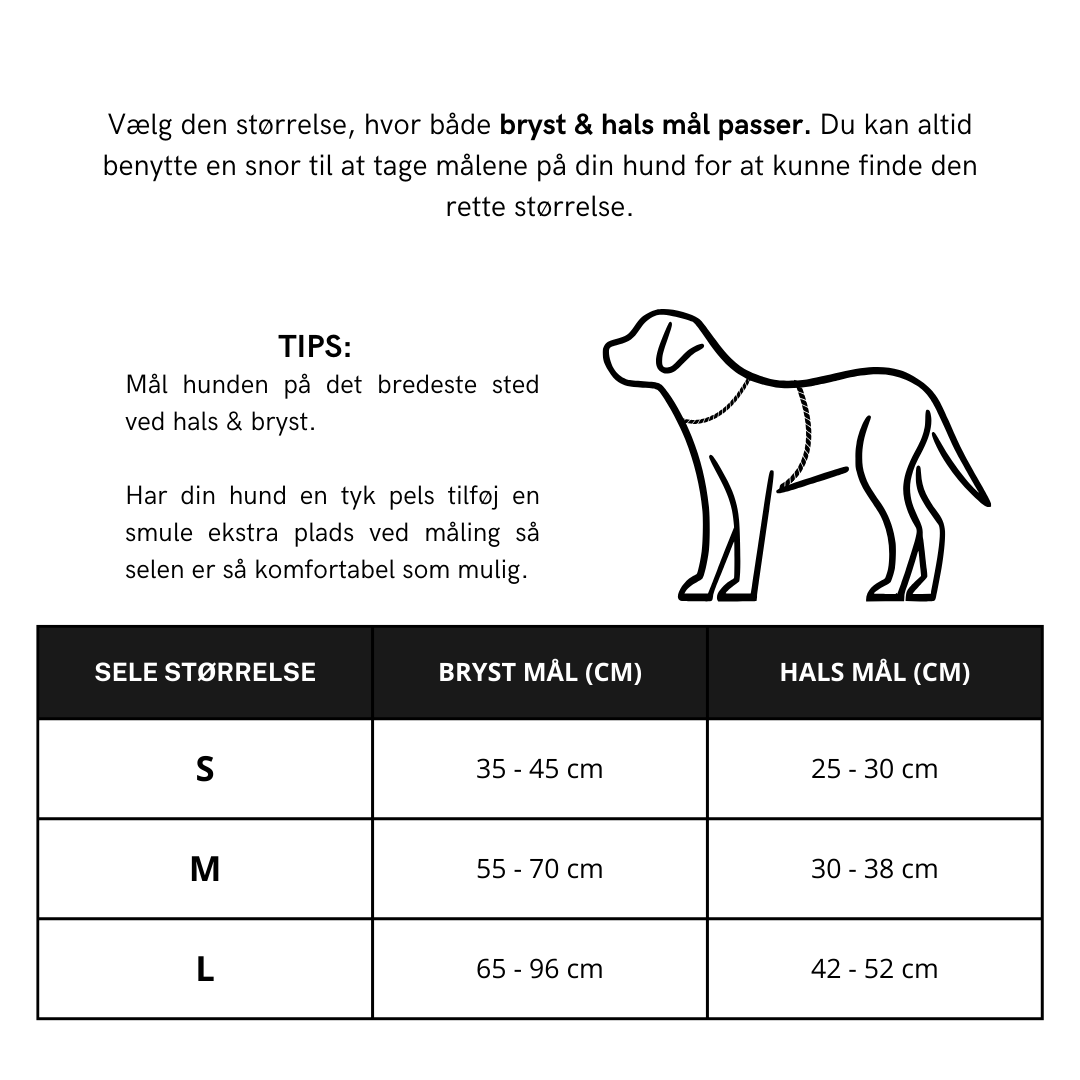 The Original Walk-Kit