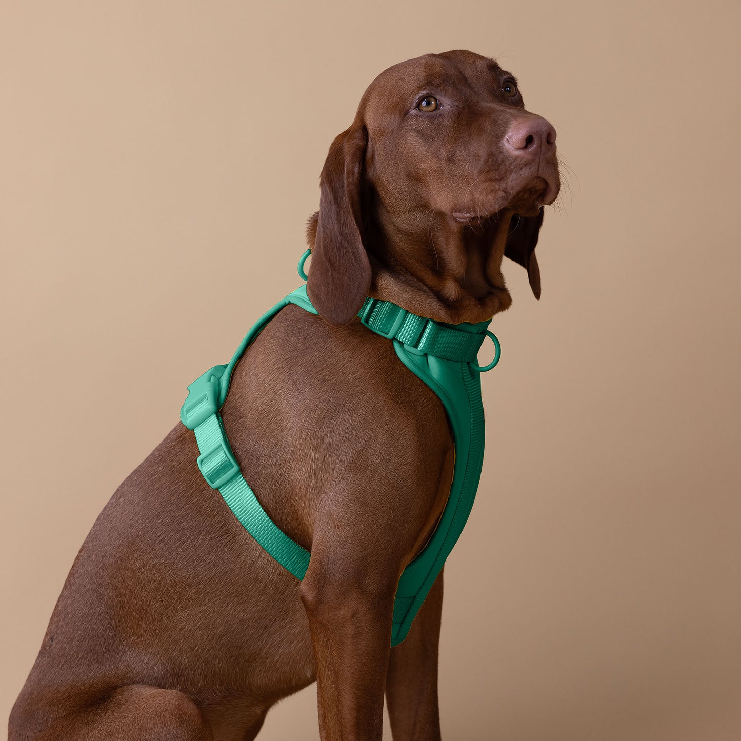Original Walk Kit