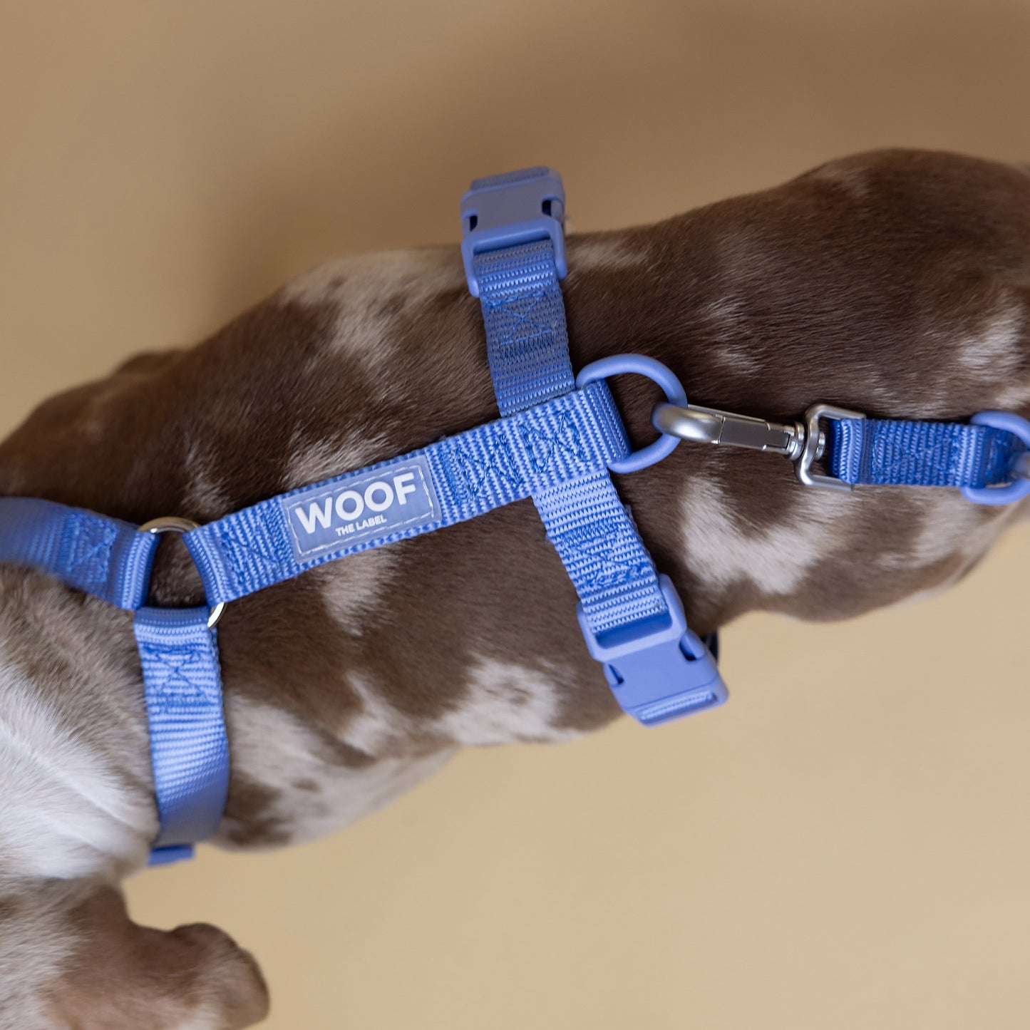 Woof Walk-Kit