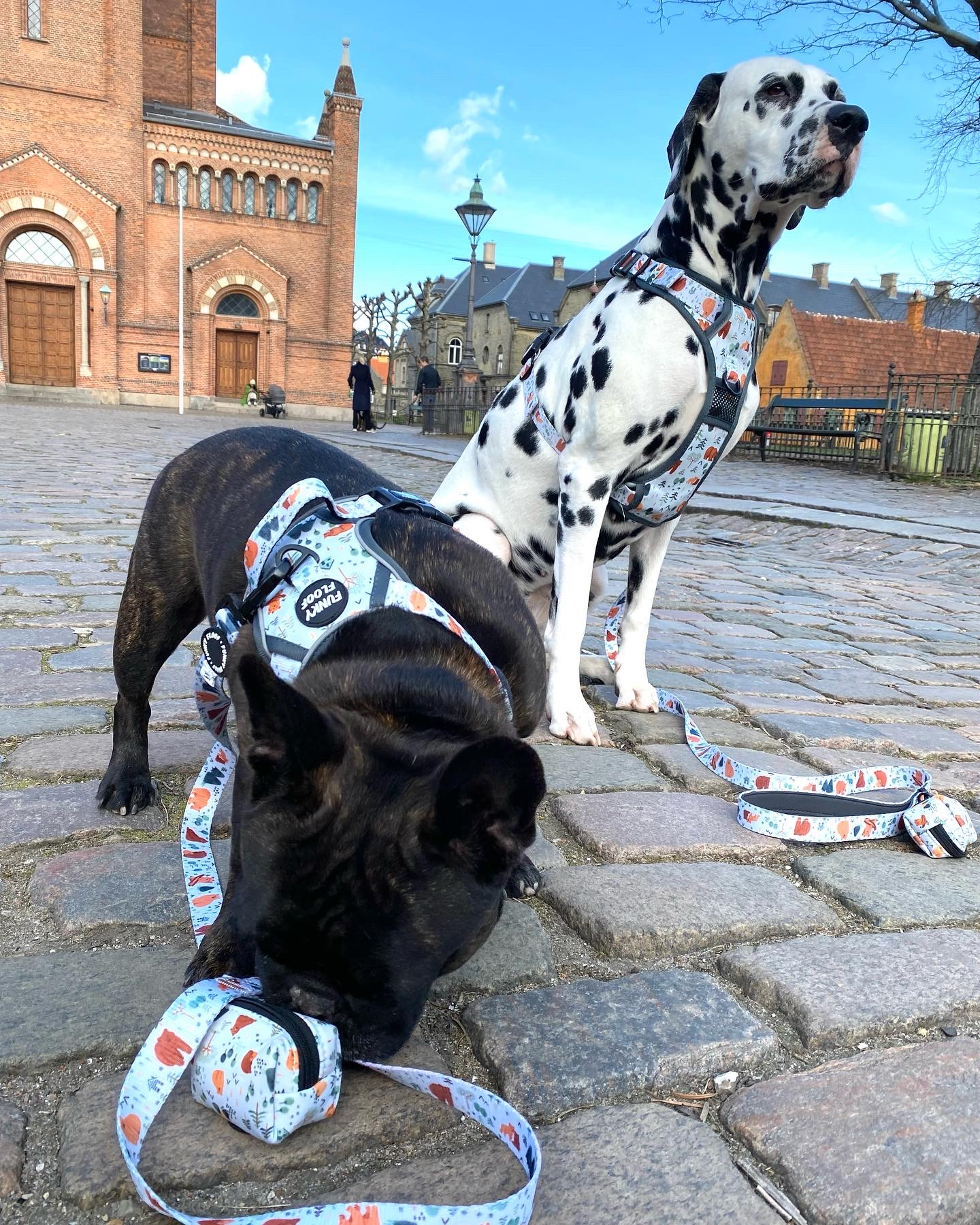 Explore Walk-Kit