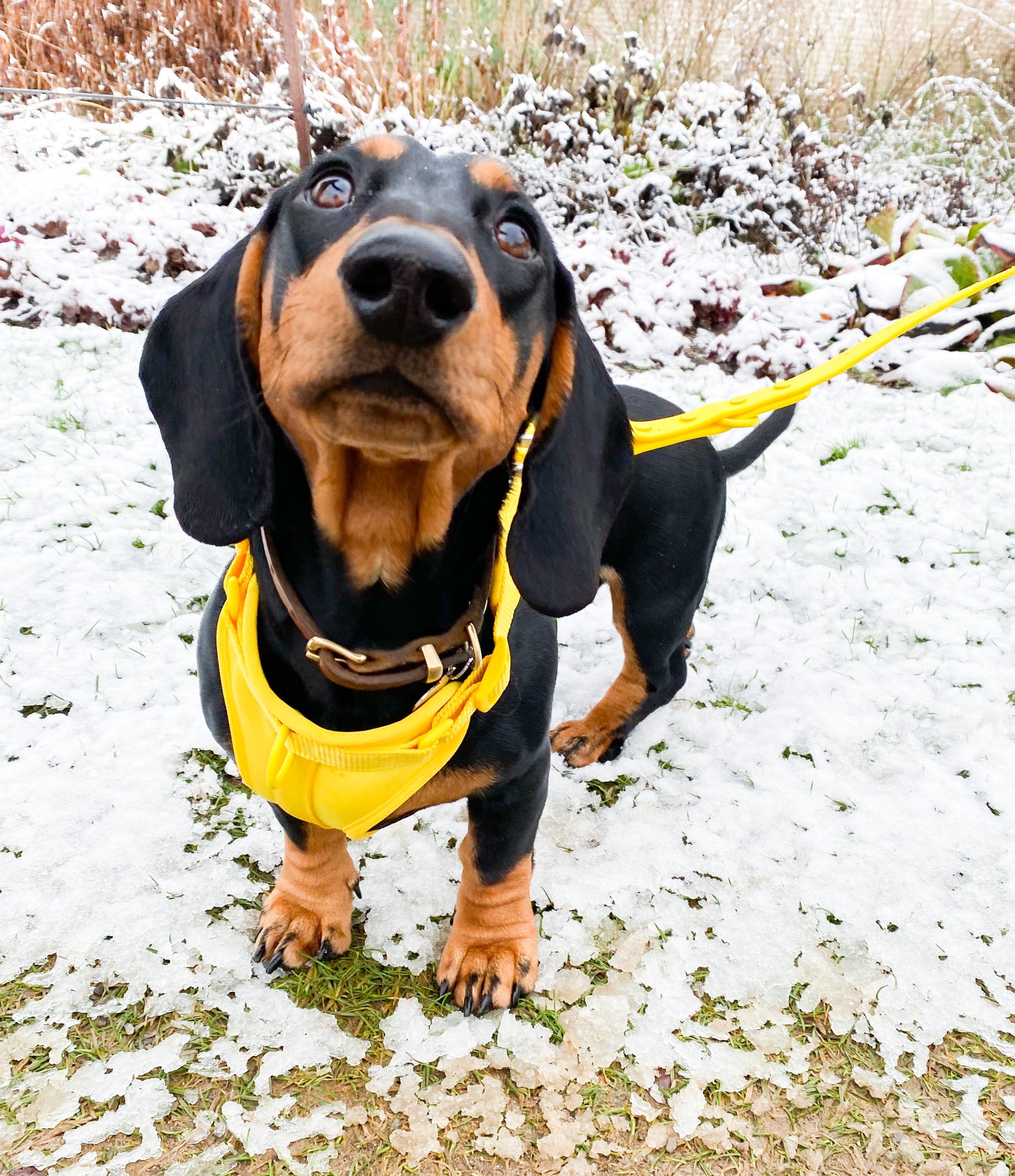 The Original Walk-Kit