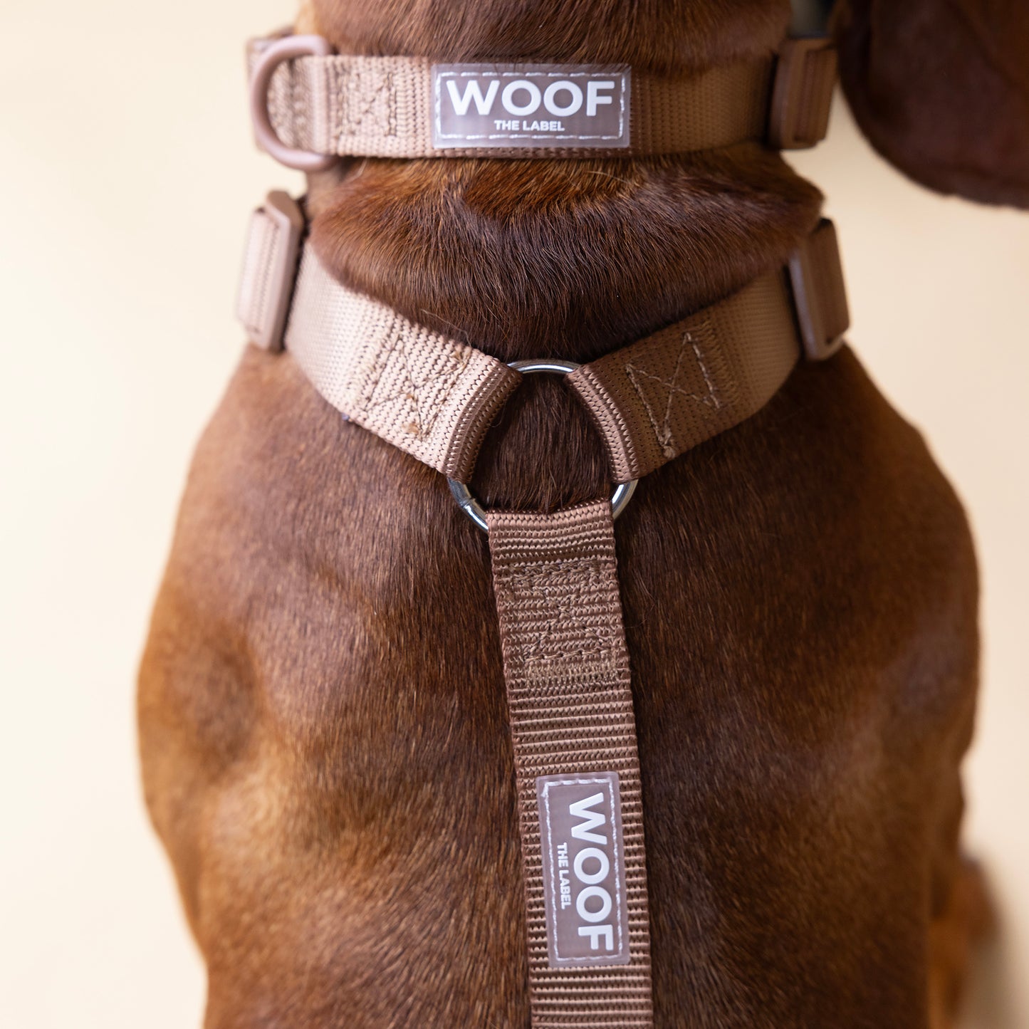 Woof Walk-Kit