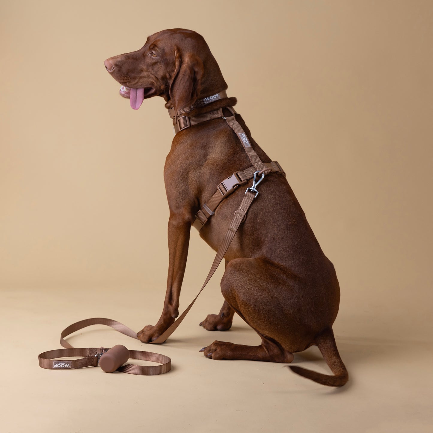 Woof Walk-Kit