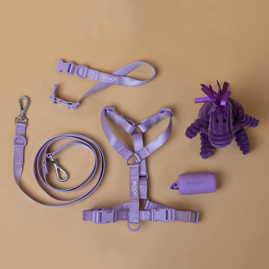 Woof Walk-Kit