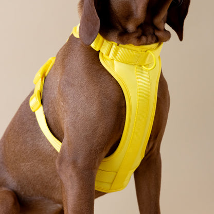 Original Walk Kit