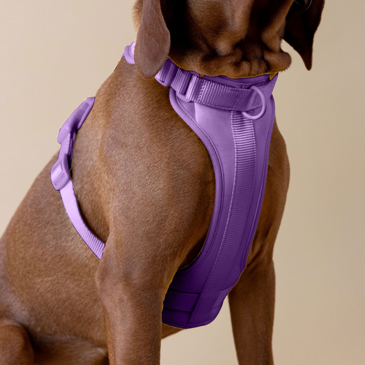 The Original Walk-Kit