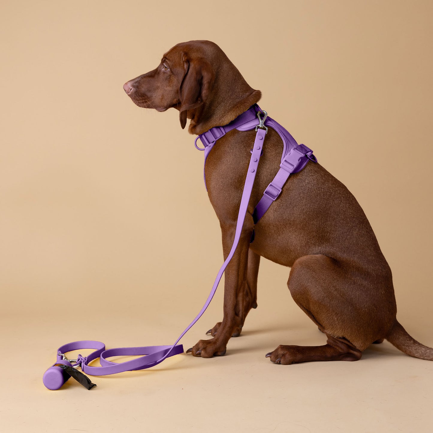 The Original Walk-Kit