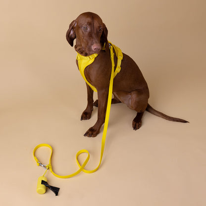 Original Walk Kit