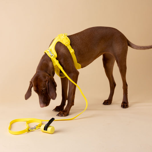 Original Walk Kit