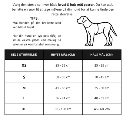 Woof Walk-Kit